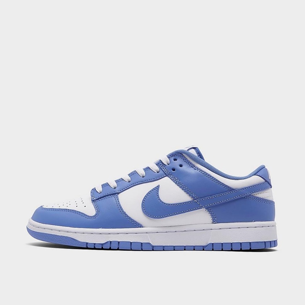 NIKE DUNK LOW RETRO CASUAL SHOES - Picture 2 of 7